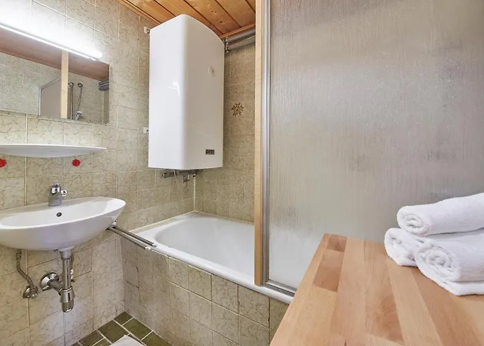 Slope & Smile アパート ザールバッハ・ヒンターグレム